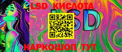 дживик Новозыбков